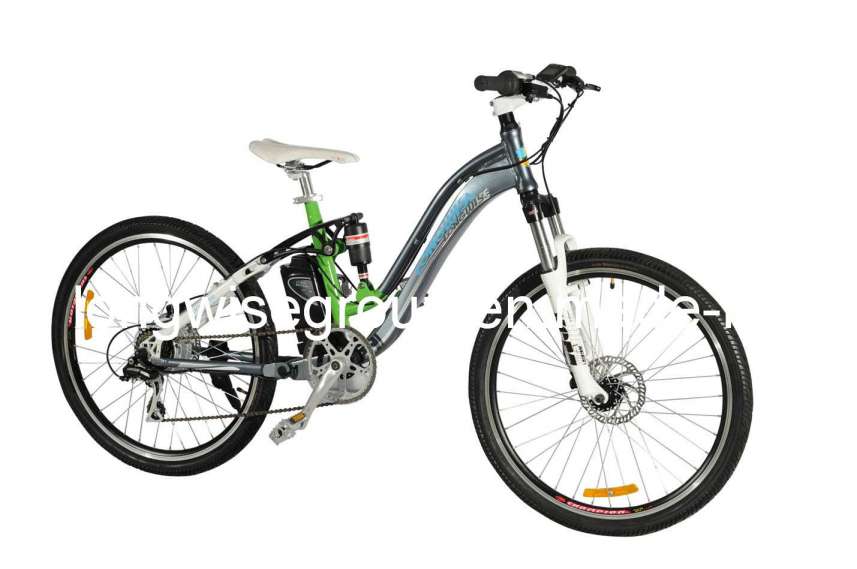 Electric Bicycle Mountain Bike (LWEB-L2615)