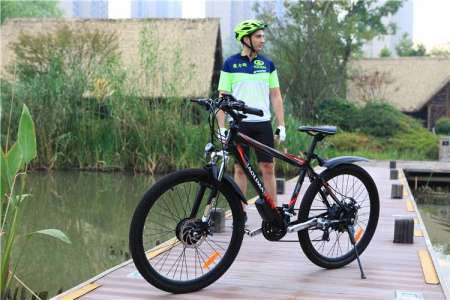 48V 500W Electric Bicycle, Electric Mountain Bicycle